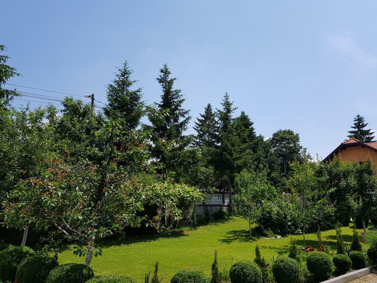 Apartment Paradise Enver Dubrave Gornje Exterior foto
